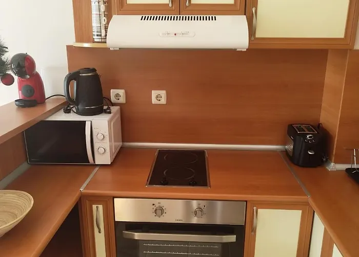 Apartament уютная в комплексе Snow Bansko